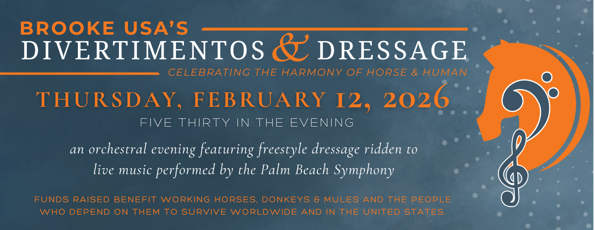 2026 Divertimentos & Dressage - Wellington, FL